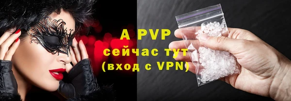 прущие грибы Кулебаки