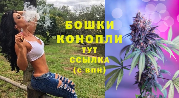 прущие грибы Кулебаки