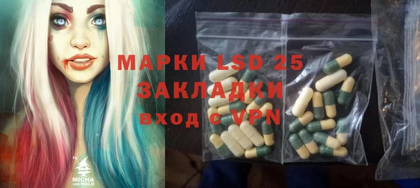 прущие грибы Кулебаки