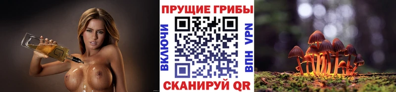 Купить  Льгов  Галлюциногенные грибы мухоморы 